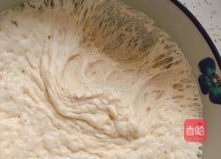 胡萝卜洋葱香菇牛肉小笼包的做法图解12