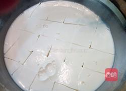 椰奶冻的做法图解7