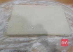 金牌萝卜丝酥的做法图解3