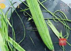 蒜蓉蒸丝瓜的做法图解3