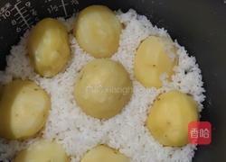 洋芋闷饭的做法图解5