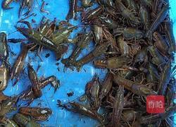 香辣小龙虾的做法图解1