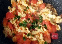 番茄鸡蛋拌面的做法图解13