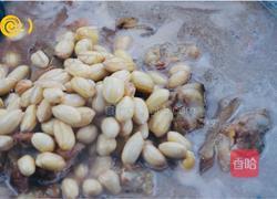 减肥能吃的花生南乳猪蹄的做法图解10