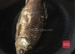 鲫鱼炖豆腐粉条的做法图解3