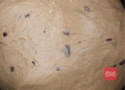 红糖大枣馒头的做法图解4