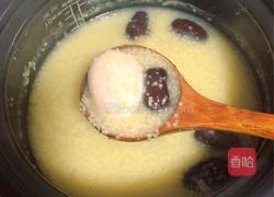 当归黄芪小米粥(补血补气药膳)的做法图解8