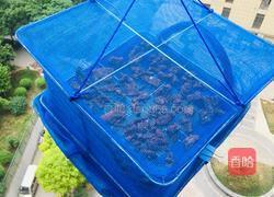 干蒸渣肉的做法图解4