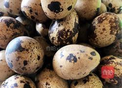 卤鹌鹑蛋的做法图解8