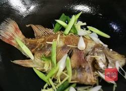 红烧鱼的做法图解9