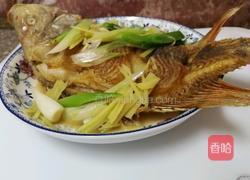 红烧鱼的做法图解14