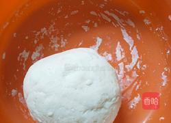 萝卜瘦肉馅饼的做法图解3