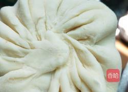 萝卜瘦肉馅饼的做法图解10