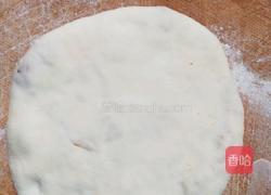 萝卜瘦肉馅饼的做法图解11