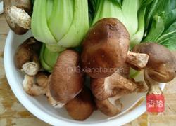 油菜炒香菇的做法图解1