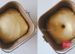 牛奶软面包的做法图解4
