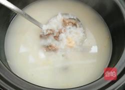 牡蛎干贝砂锅粥的做法图解17