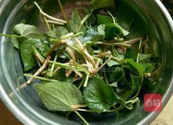 夏日轻 食凉拌折耳根 的做法图解3