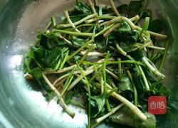 夏日轻 食凉拌折耳根 的做法图解7