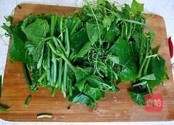 凉拌龙须菜的做法图解2