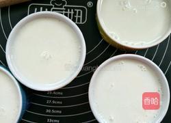 懒人双皮奶简单做法的做法图解4