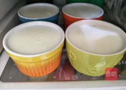 懒人双皮奶简单做法的做法图解5
