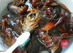 蒜泥小龙虾的做法图解1