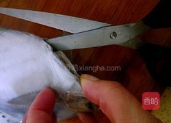 香煎鲳鱼的做法图解2