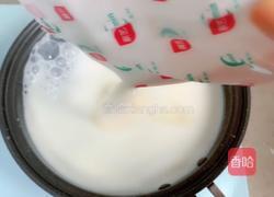 芒果牛奶冻的做法图解3