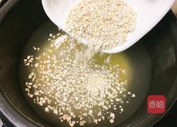苹果燕麦小米粥的做法图解3