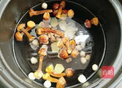 茯苓姬松茸排骨汤的做法图解10