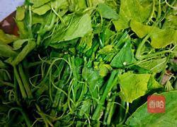 清炒龙须菜的做法图解4