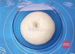 燕麦面包的做法图解5