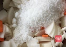 酸辣爽口萝卜的做法图解5