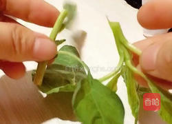 蒜香苋菜的做法图解2