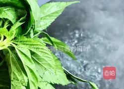 豆酱炒麻叶的做法图解3