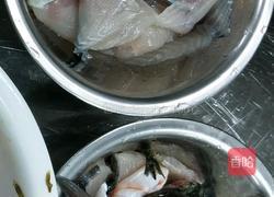 重庆酸菜鱼的做法图解3