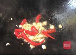 双椒四季豆(减肥版)的做法图解10