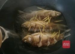 鲫鱼豆腐汤的做法图解10