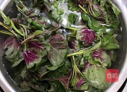蒜香苋菜的做法图解1