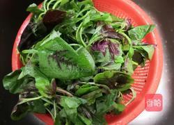 蒜香苋菜的做法图解2