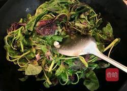 蒜香苋菜的做法图解8