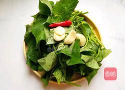 最接地气的抗癌明星菜#蒜蓉炒红薯叶的做法图解2