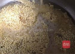 黄瓜鸡肉小米粥（减肥版）的做法图解1