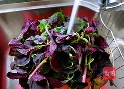 蒜泥苋菜的做法图解2