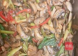 蘑菇炒肉片的做法图解7