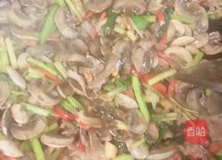 蘑菇炒肉片的做法图解6