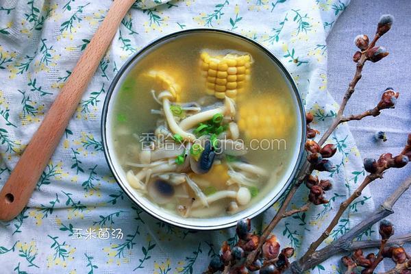 玉米鲜菌汤