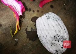 火龙果奶昔的做法图解3