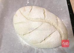 燕麦软欧包(波兰种)的做法图解13